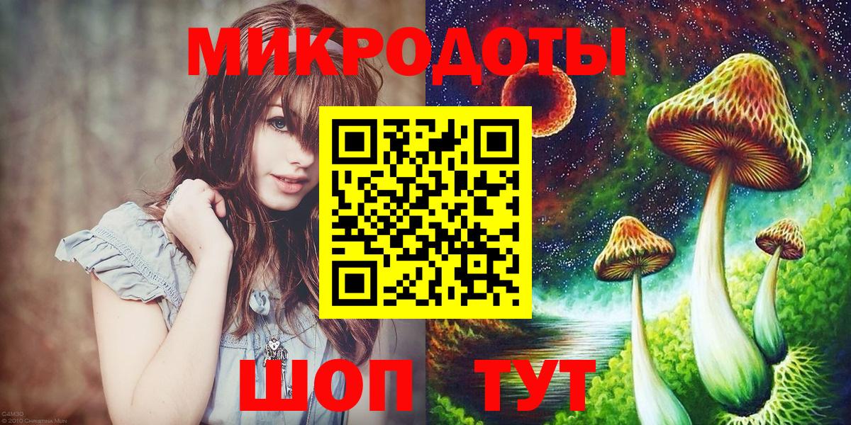 Псилоцибиновые грибы Psilocybe Амурск