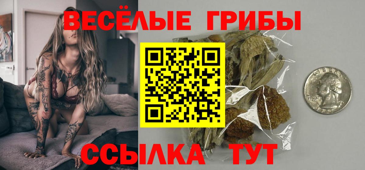 Псилоцибиновые грибы мухоморы  Вход с VPN  Амурск 
